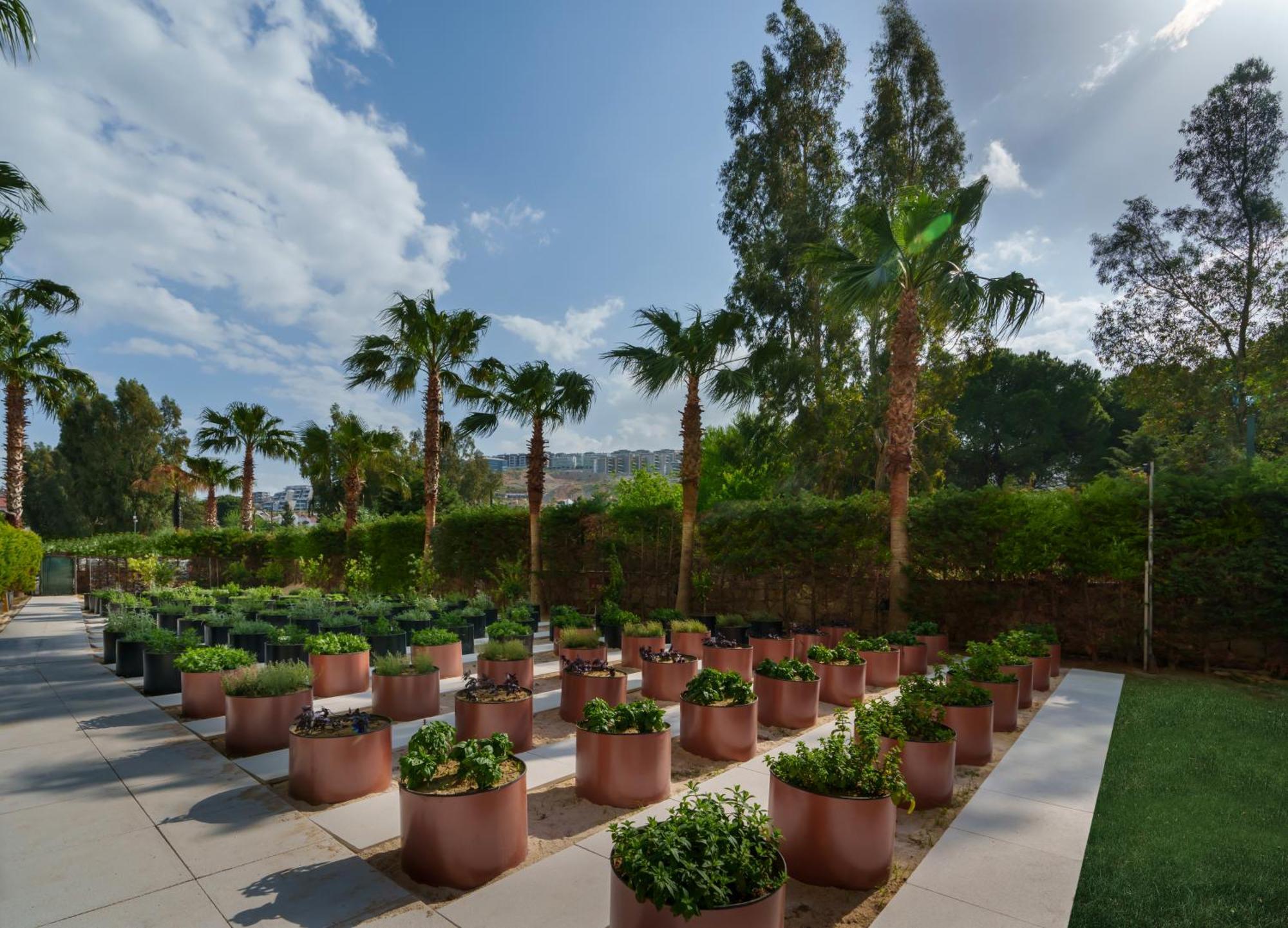 Liberty Kusadasi Bagian luar foto
